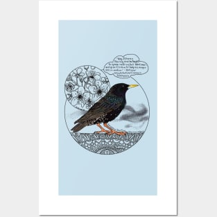 Shakespeare's Starling, Doodle Posters and Art